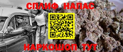 гидра Берёзовский