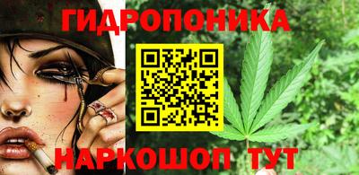 гидра Берёзовский